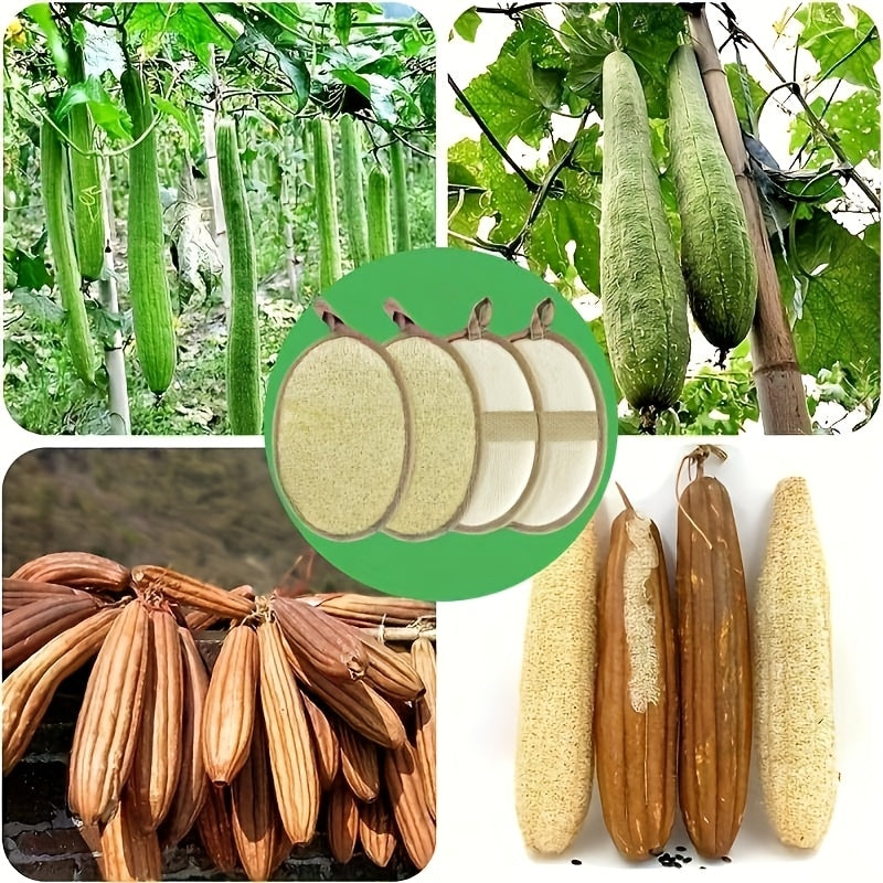 2/4pcs Natural Exfoliating Loofah Pads, Body Scrubbers, Portable Luffa Sponges